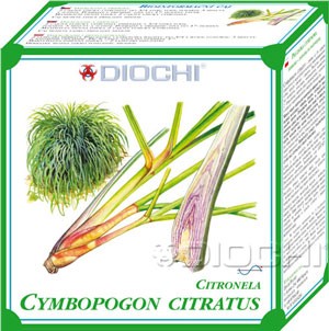 Cymbopogon citratus - čaj 75g