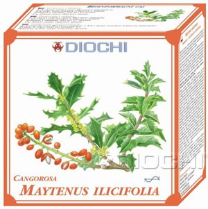 Maytenus ilicifolia - čaj 150g
