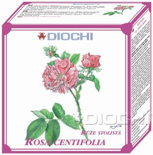Rosa centifolia - čaj, balení tubus 60g