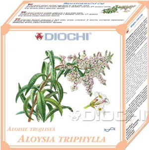 Aloysia triphylla - čaj, tubus 80g 